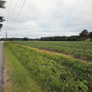Photo #17 of Lot 19 Longstreet Lane, Suffolk, Virginia 19.6 acres