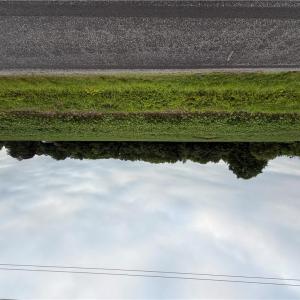 Photo #4 of Lot 19 Longstreet Lane, Suffolk, Virginia 19.6 acres