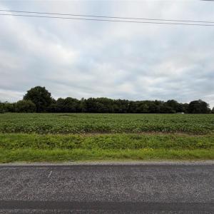 Photo #5 of Lot 19 Longstreet Lane, Suffolk, Virginia 19.6 acres