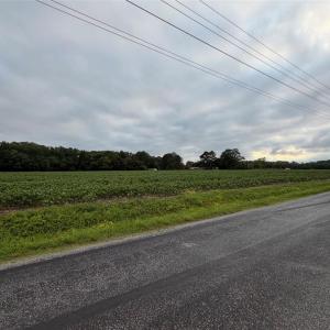 Photo #6 of Lot 19 Longstreet Lane, Suffolk, Virginia 19.6 acres