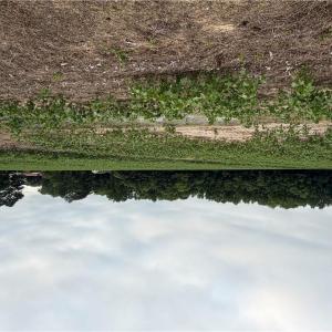 Photo #8 of Lot 19 Longstreet Lane, Suffolk, Virginia 19.6 acres