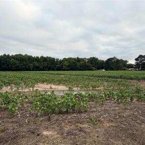 Photo #9 of Lot 19 Longstreet Lane, Suffolk, Virginia 19.6 acres