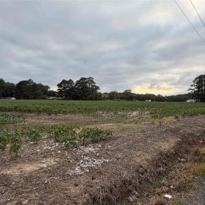 Photo #10 of Lot 19 Longstreet Lane, Suffolk, Virginia 19.6 acres