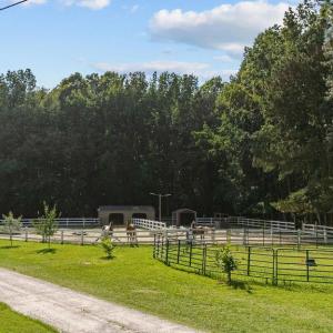 area used as pasture