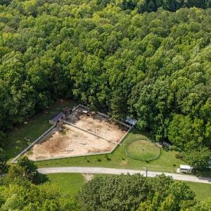 Pasture, trails 2 run in sheds, RV hookup, tack storage, hay storage and workshop, fruit trees.