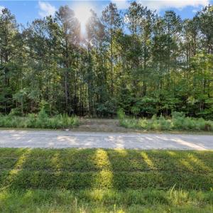 Photo #2 of 14 Fox Chase Drive, Dendron, Virginia 5.1 acres