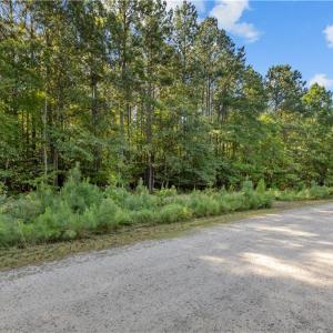 Photo #11 of 14 Fox Chase Drive, Dendron, Virginia 5.1 acres