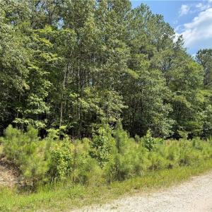 Photo #3 of 14 Fox Chase Drive, Dendron, Virginia 5.1 acres