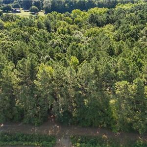Photo #6 of 14 Fox Chase Drive, Dendron, Virginia 5.1 acres