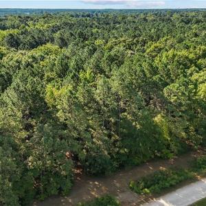 Photo #7 of 14 Fox Chase Drive, Dendron, Virginia 5.1 acres
