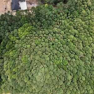 Photo #12 of 1129 Lawnes Neck Drive, Smithfield, Virginia 2.4 acres