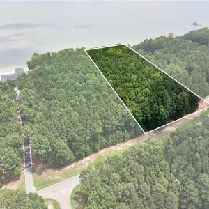 Photo #18 of 1129 Lawnes Neck Drive, Smithfield, Virginia 2.4 acres