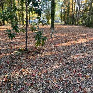 Photo #3 of 56 Mobjack Lane, Hayes, Virginia 0.5 acres