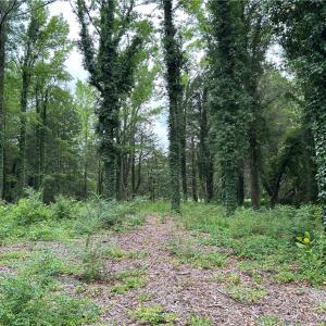 Photo #4 of 56 Mobjack Lane, Hayes, Virginia 0.5 acres