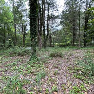 Photo #5 of 56 Mobjack Lane, Hayes, Virginia 0.5 acres