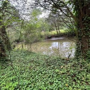 Photo #6 of 56 Mobjack Lane, Hayes, Virginia 0.5 acres