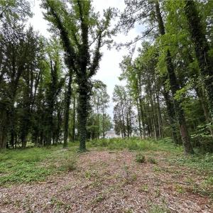Photo #8 of 56 Mobjack Lane, Hayes, Virginia 0.5 acres
