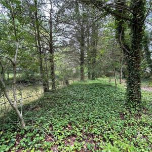 Photo #9 of 56 Mobjack Lane, Hayes, Virginia 0.5 acres