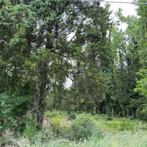 Photo #10 of 56 Mobjack Lane, Hayes, Virginia 0.5 acres