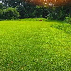 Photo #4 of 623-B Fairfield Boulevard, Hampton, Virginia 1.5 acres