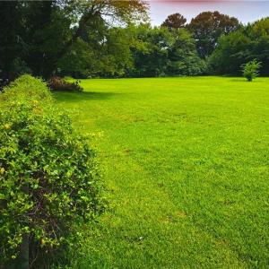 Photo #7 of 623-B Fairfield Boulevard, Hampton, Virginia 1.5 acres