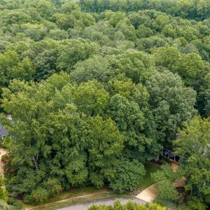 Photo #17 of 109 Aberdeen, Williamsburg, Virginia 0.3 acres