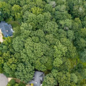 Photo #19 of 109 Aberdeen, Williamsburg, Virginia 0.3 acres
