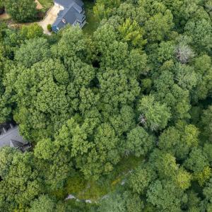 Photo #7 of 109 Aberdeen, Williamsburg, Virginia 0.3 acres