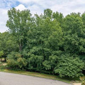 Photo #10 of 109 Aberdeen, Williamsburg, Virginia 0.3 acres