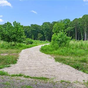 Photo #25 of 5.89ac Five Gables Woodlands, Gloucester, Virginia 5.9 acres