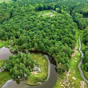 Photo #8 of 5.89ac Five Gables Woodlands, Gloucester, Virginia 5.9 acres
