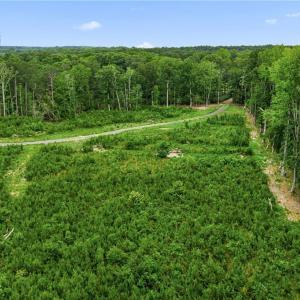 Photo #18 of 7.92ac Five Gables Woodlands, Gloucester, Virginia 7.9 acres