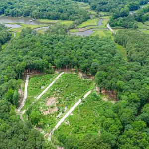 Photo #19 of 7.92ac Five Gables Woodlands, Gloucester, Virginia 7.9 acres