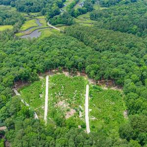 Photo #20 of 7.92ac Five Gables Woodlands, Gloucester, Virginia 7.9 acres