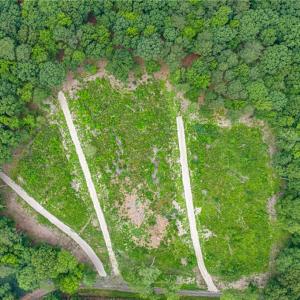Photo #23 of 7.92ac Five Gables Woodlands, Gloucester, Virginia 7.9 acres