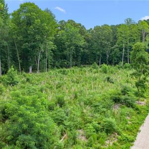 Photo #27 of 7.92ac Five Gables Woodlands, Gloucester, Virginia 7.9 acres