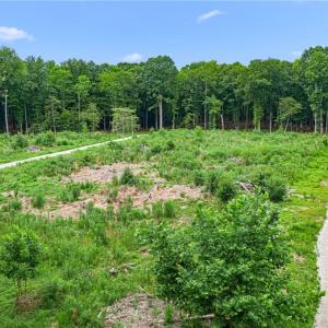 Photo #28 of 7.92ac Five Gables Woodlands, Gloucester, Virginia 7.9 acres