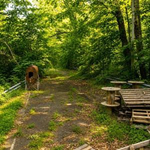 Photo #11 of Haynes Pond Way, Gloucester, Virginia 1.0 acres
