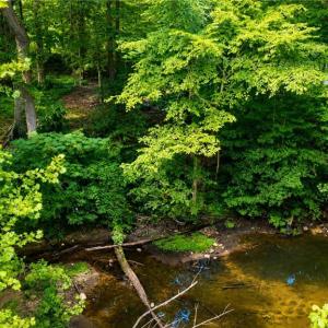 Photo #17 of Haynes Pond Way, Gloucester, Virginia 1.0 acres