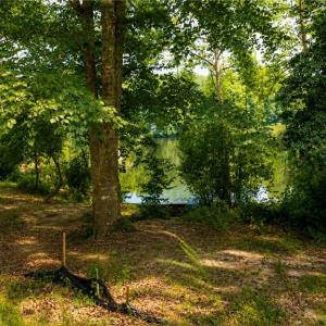 Photo #3 of Haynes Pond Way, Gloucester, Virginia 1.0 acres