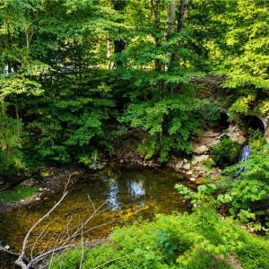 Photo #8 of Haynes Pond Way, Gloucester, Virginia 1.0 acres