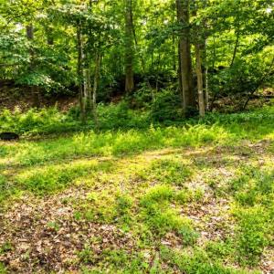 Photo #9 of Haynes Pond Way, Gloucester, Virginia 1.0 acres