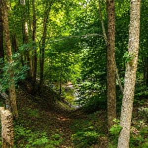 Photo #10 of Haynes Pond Way, Gloucester, Virginia 1.0 acres