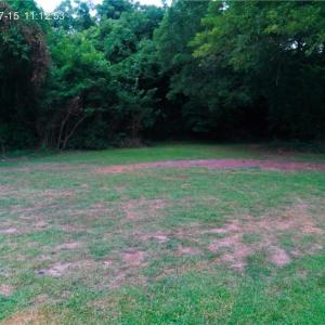 Rear of lot view
