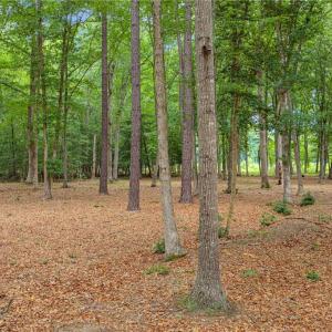Photo #13 of 13.7ac Five Gables Woodlands, Gloucester, Virginia 13.7 acres