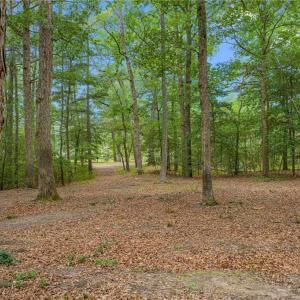 Photo #14 of 13.7ac Five Gables Woodlands, Gloucester, Virginia 13.7 acres