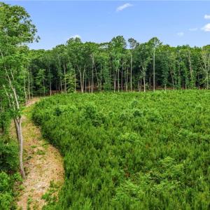 Photo #20 of 13.7ac Five Gables Woodlands, Gloucester, Virginia 13.7 acres