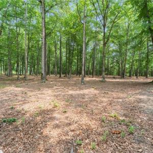 Photo #22 of 13.7ac Five Gables Woodlands, Gloucester, Virginia 13.7 acres