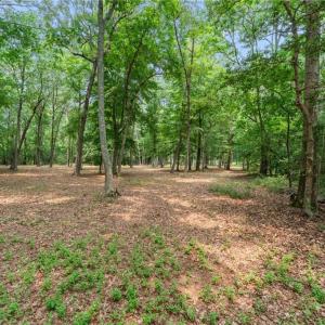 Photo #24 of 13.7ac Five Gables Woodlands, Gloucester, Virginia 13.7 acres