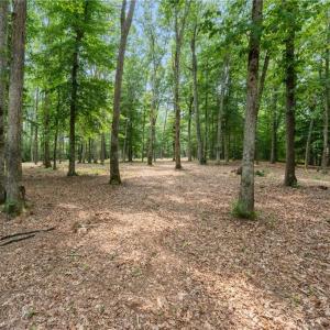 Photo #25 of 13.7ac Five Gables Woodlands, Gloucester, Virginia 13.7 acres